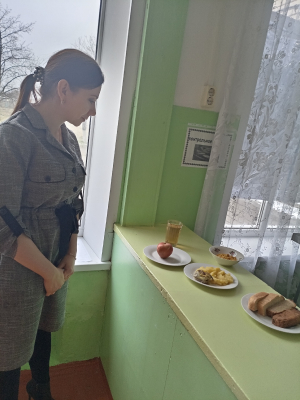 Родительский контроль организации питания 2024-02-15